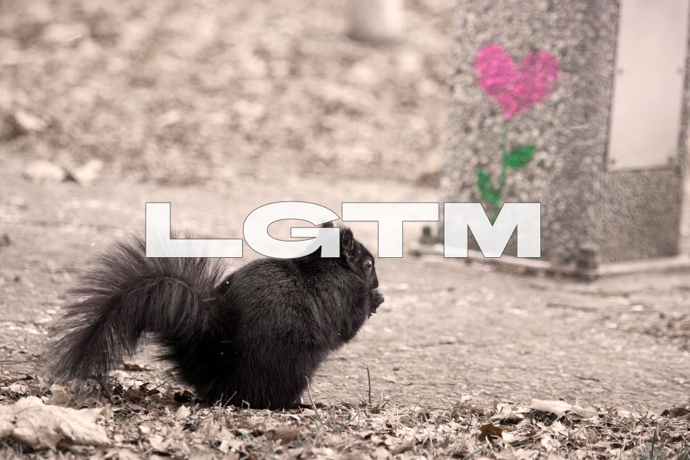 LGTM Image