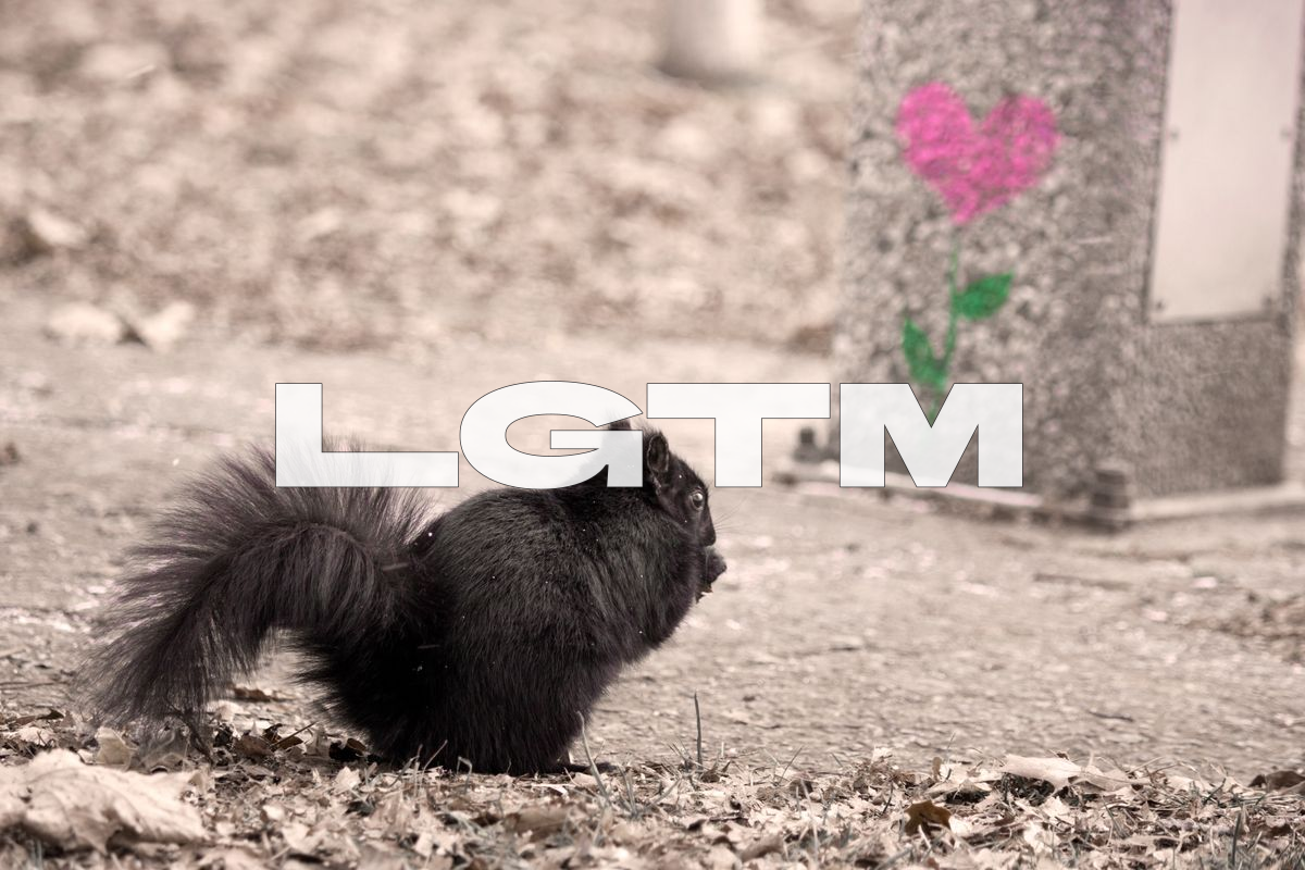 LGTM Image