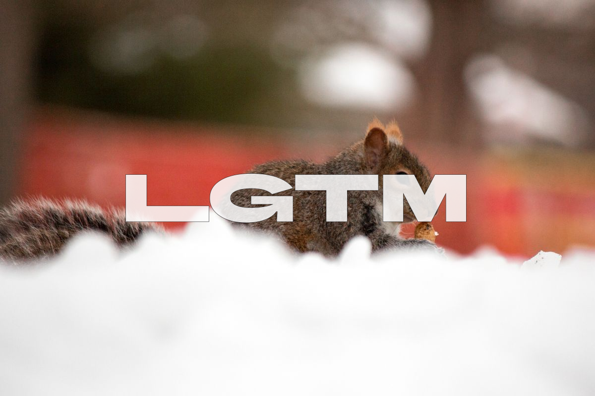 LGTM Image
