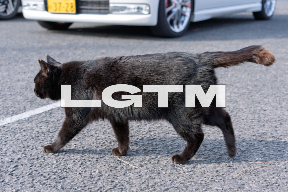 LGTM Image