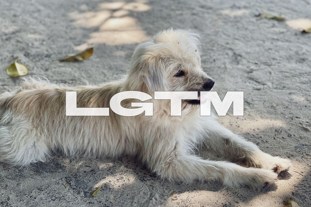 LGTM Image