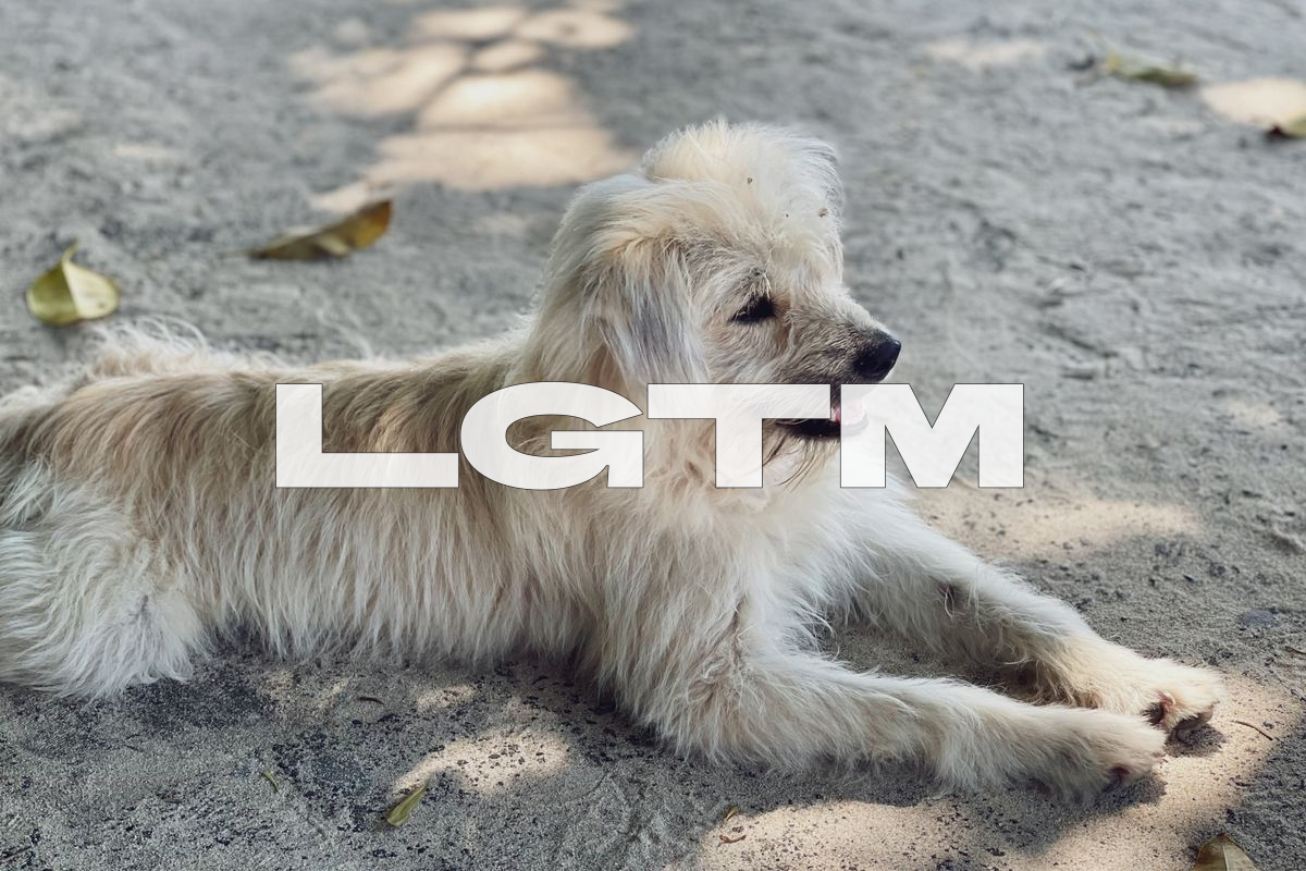 LGTM Image