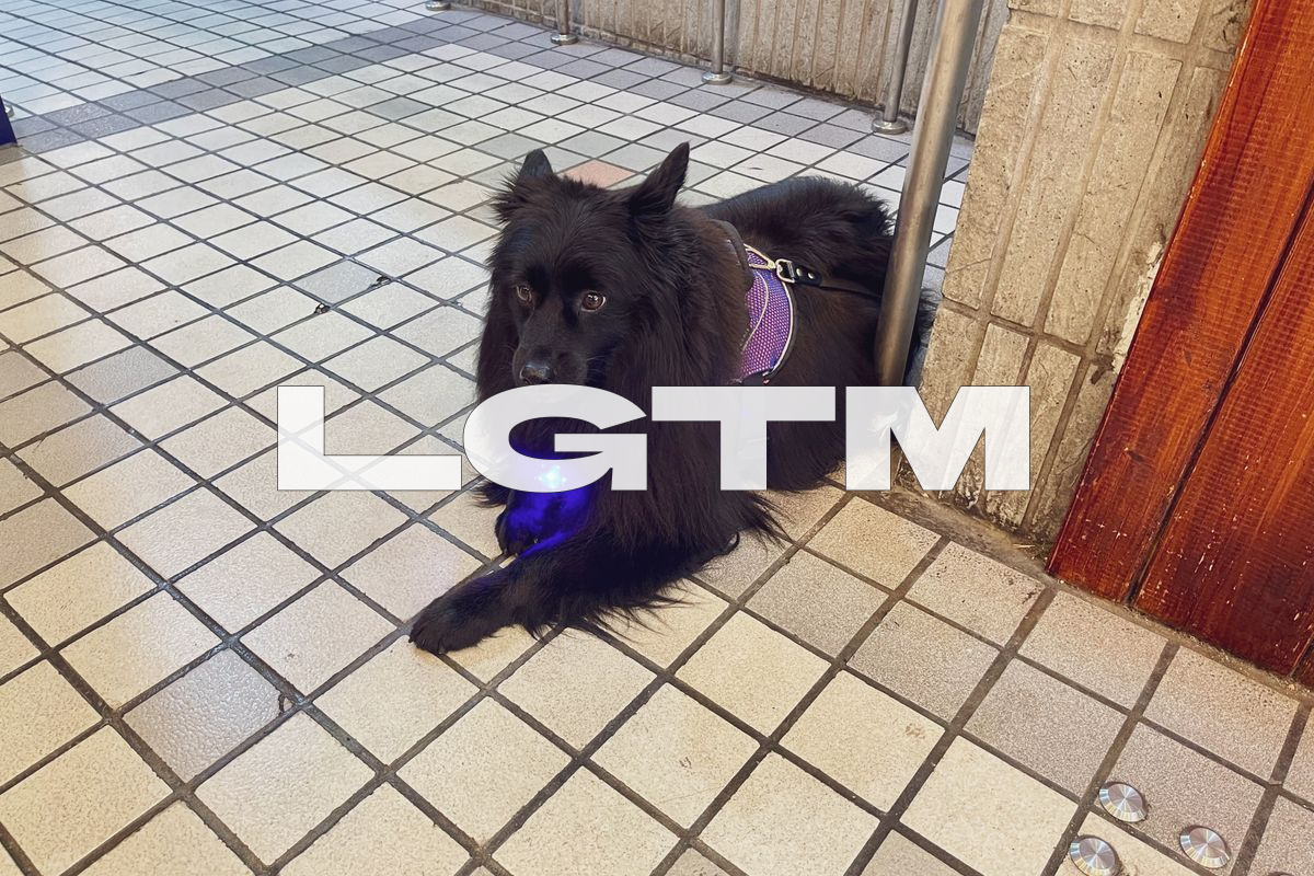 LGTM Image