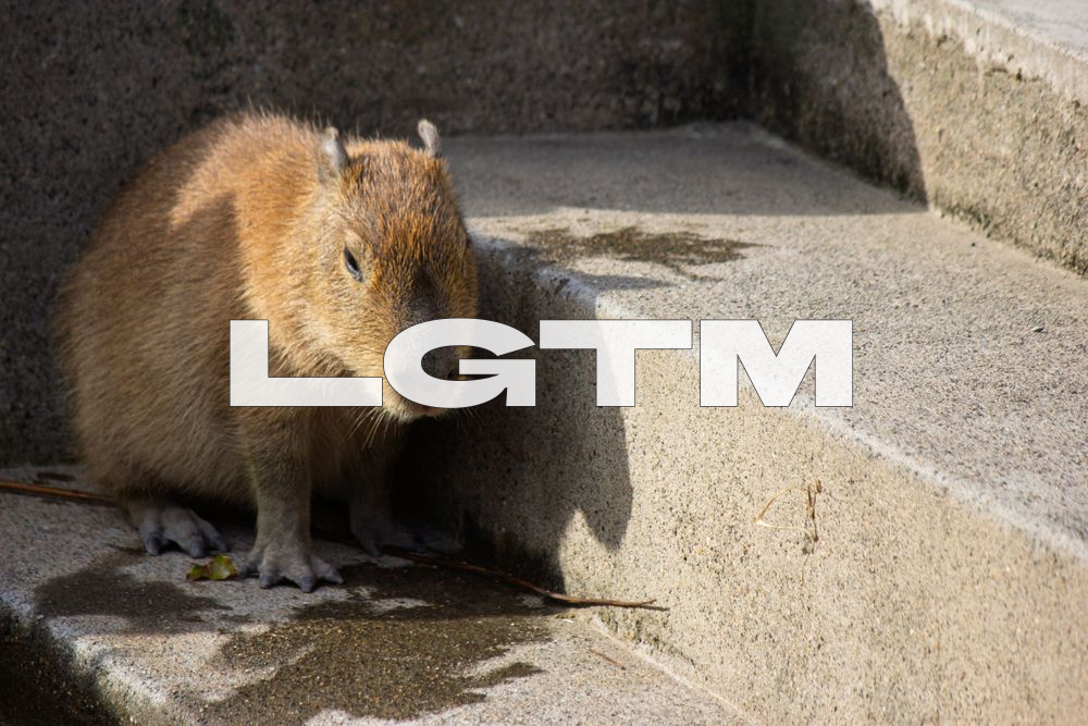 LGTM Image