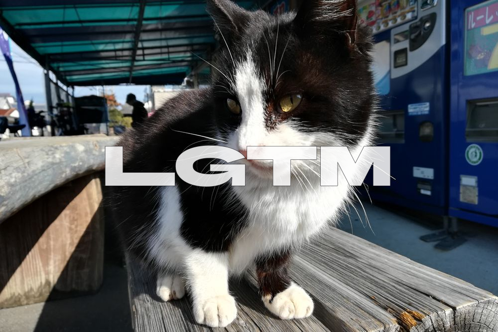 LGTM Image