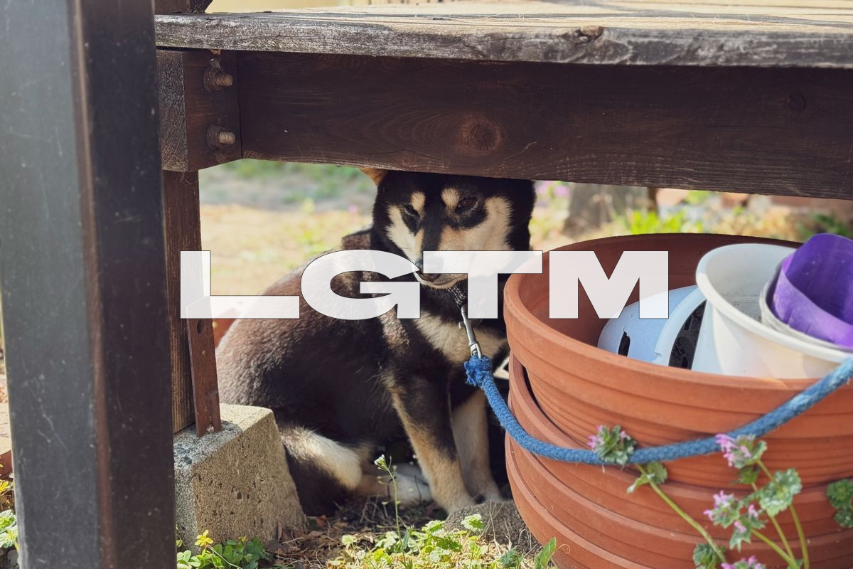 LGTM Image