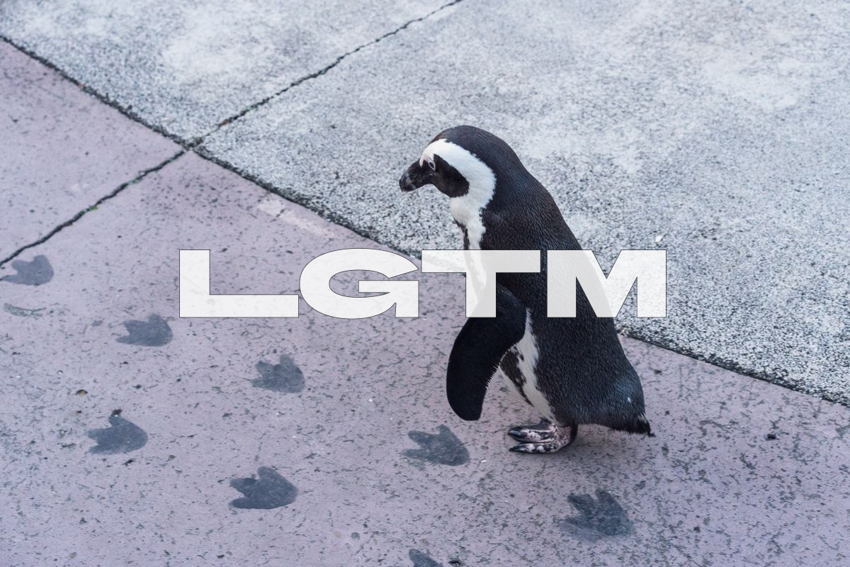 LGTM Image